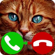 Скачать взломанную звонок поддельный кот игра версия 4.0 apk на Андроид - Открытые уровни
