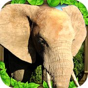 Скачать взломанную Elephant Simulator версия Зависит от устройства apk на Андроид - Много монет