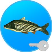 Скачать взломанную Реальная Рыбалка (ключ). Симулятор рыбной ловли. версия 1.9.8.428 apk на Андроид - Бесконечные деньги