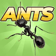 Скачать взломанную Pocket Ants: Симулятор Колонии версия 0.0561 apk на Андроид - Бесконечные деньги