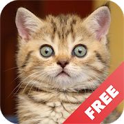 Скачать Звуки котов - поиграй с котами версия 1.19 apk на Андроид - Встроенный кеш