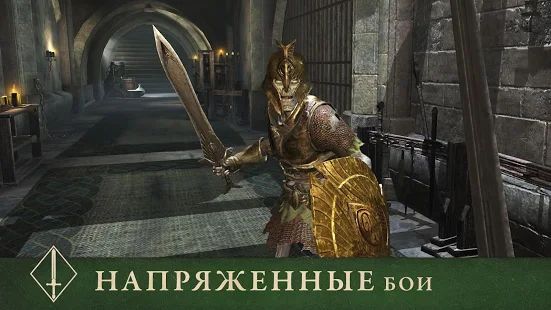 Скачать взломанную The Elder Scrolls: Blades версия 1.6.3.984769 apk на Андроид - Много монет