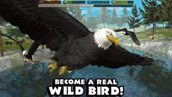 Скачать взломанную Ultimate Bird Simulator версия Зависит от устройства apk на Андроид - Бесконечные деньги