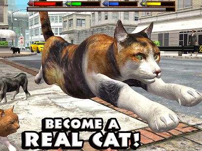 Скачать взломанную Ultimate Cat Simulator версия Зависит от устройства apk на Андроид - Бесконечные деньги