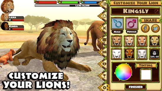 Скачать взломанную Ultimate Lion Simulator версия Зависит от устройства apk на Андроид - Бесконечные деньги