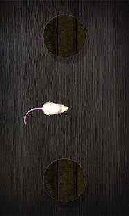 Скачать взломанную Мышь на экране для кота - Симулятор мыши версия 18.0 apk на Андроид - Бесконечные деньги