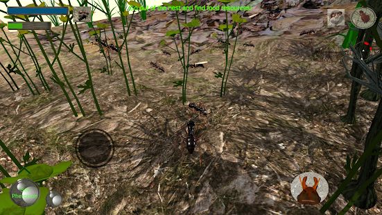 Скачать взломанную Ant Simulation 3D - Insect Survival Game версия 3.3.4 apk на Андроид - Бесконечные деньги