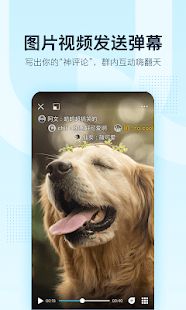 Скачать QQ версия 8.2.10 apk на Андроид - Встроенный кеш